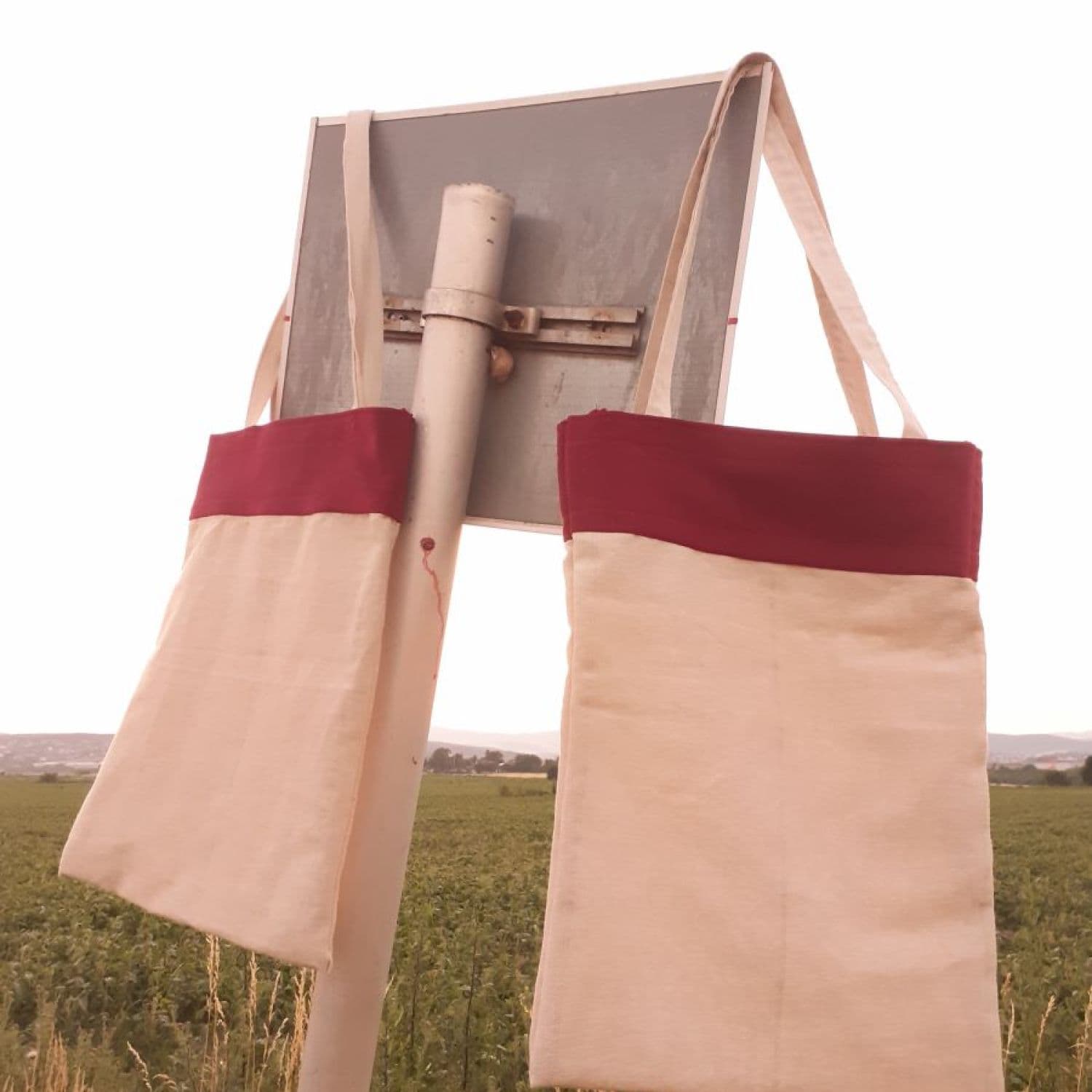 Shopping Bag