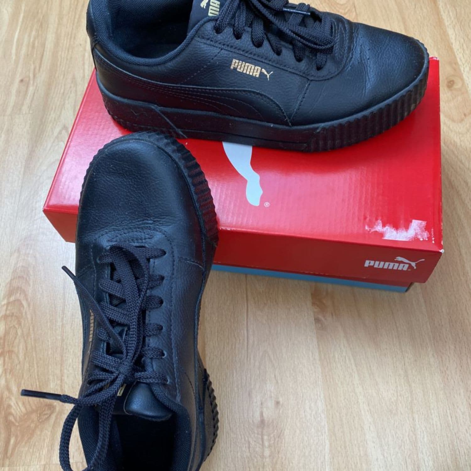 Puma Carina L