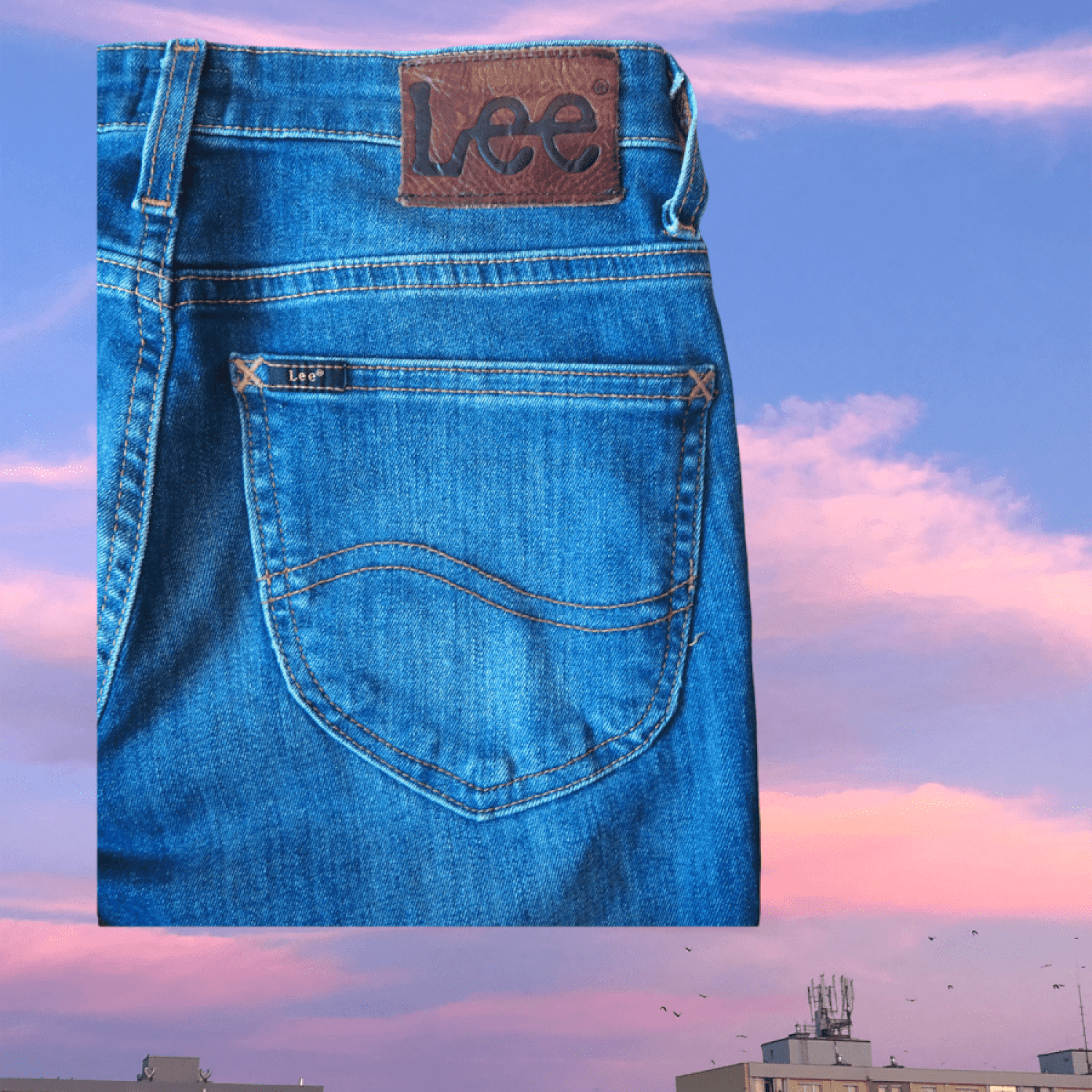 Lee denim slim jeans