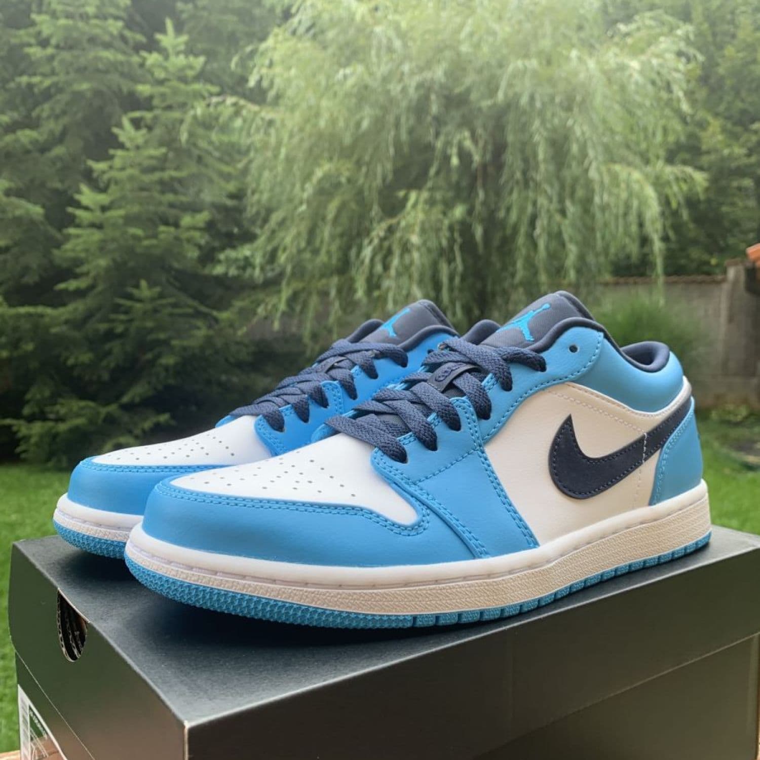 Air Jordan 1 Low UNC